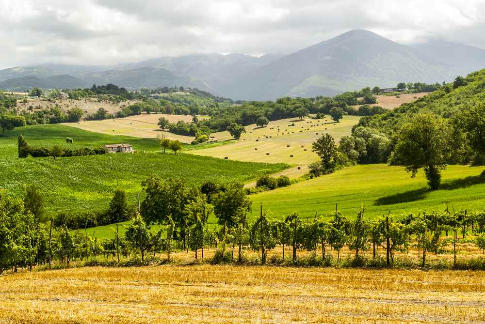 Italiaanse wijn - Lazio