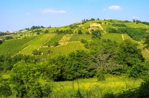 Italiaanse wijn - Lombardia